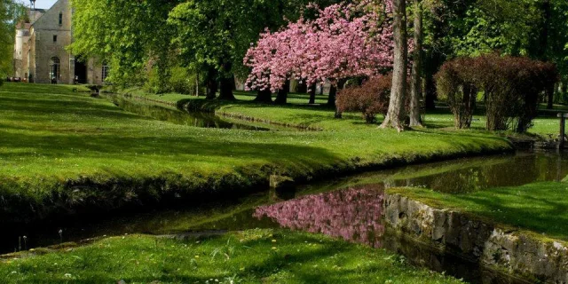 Abbaye de Royaumont - divers