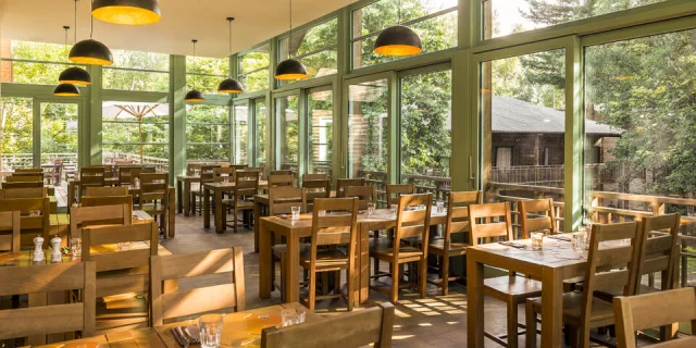 Business Experience Parc Astérix - restaurant