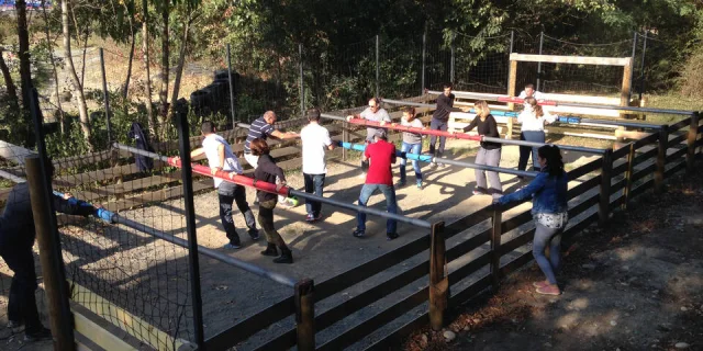 Quad, Laser Game, Foot Bulle, Moto