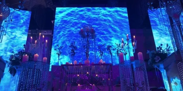 Salon Prestige Organza - divers